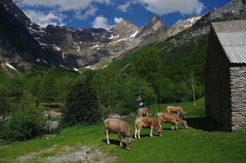 Bungalows Pena Montanesa Aínsa Eksteriør billede